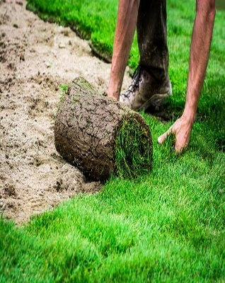 Sod Install!🏡