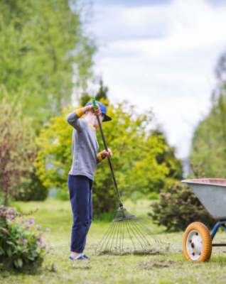 Spring/Fall Cleanup!🧹